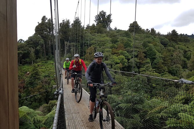 Timber Trail - Ongarue to Pureora Shuttle 2 Day Ride - Choosing between a Roscoe and an e-bike