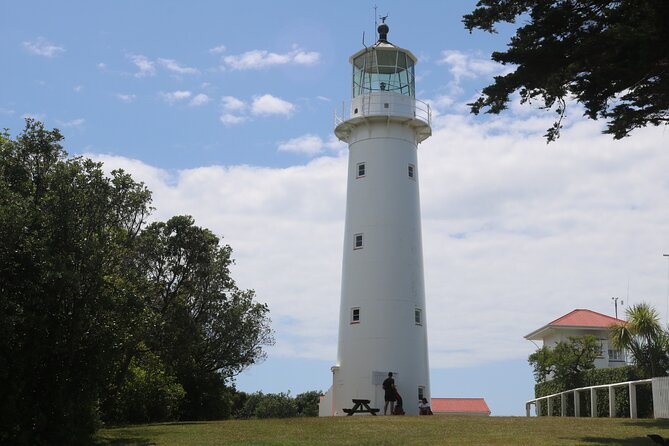 Tiritiri Matangi Island Discovery - from Auckland - The lighthouse and the conservation story