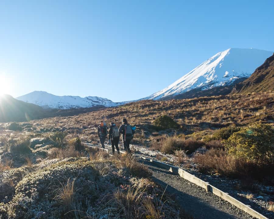 Tongariro Alpine Half Day Guided Group Walk - Three hours among volcanoes and mountain flowers