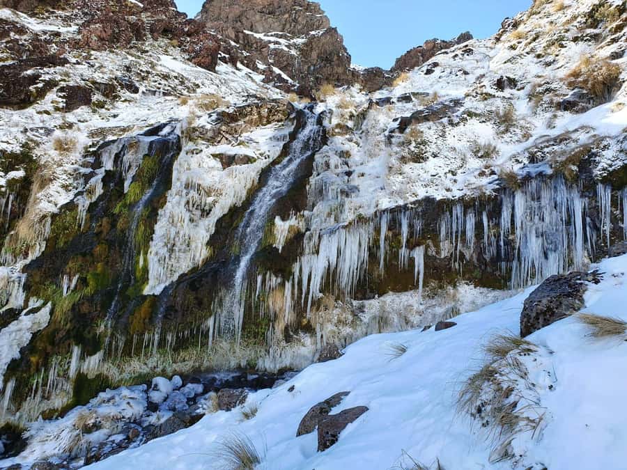 Tongariro Alpine Half Day Guided Group Walk - From Carroll Street to the volcanic track