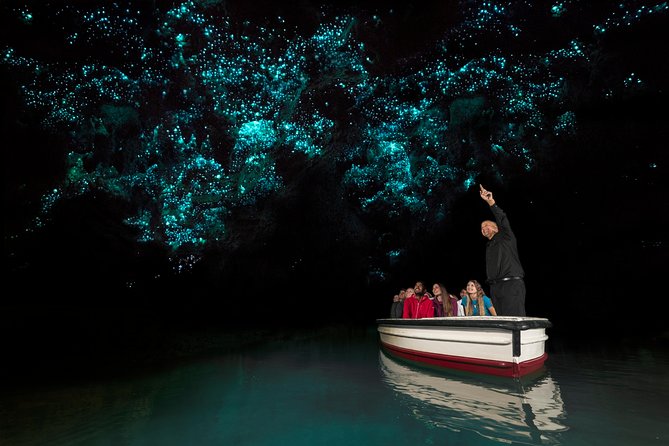 Tongariro Crossing : PRIVATE TRANSFER Leaving AUCKLAND - Should you book the Auckland to Tongariro transfer?