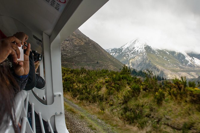 TranzAlpine Train Journey: Christchurch to Greymouth - Down through West Coast beech forest