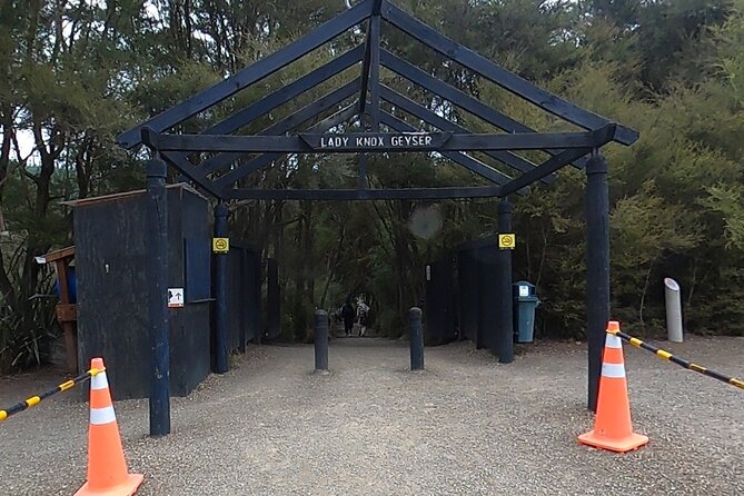 TRIPLE DEAL Wai-O-Tapu, Redwood Forest & Blue Springs Ex Auckland - A short walk beneath Rotorua’s Redwoods
