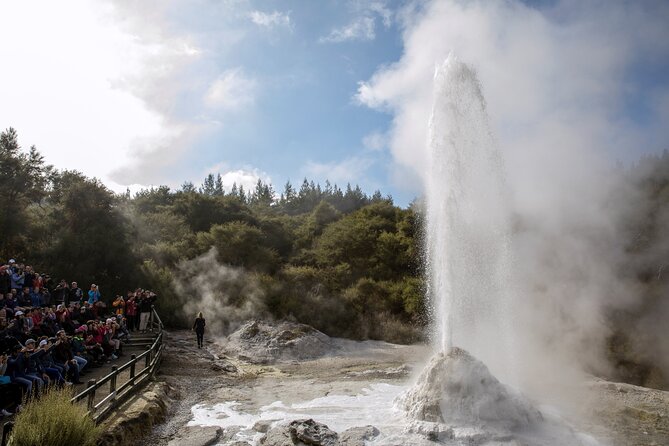 TRIPLE DEAL Wai-O-Tapu, Redwood Forest & Blue Springs Ex Auckland - Blue Spring and the clearest change of pace