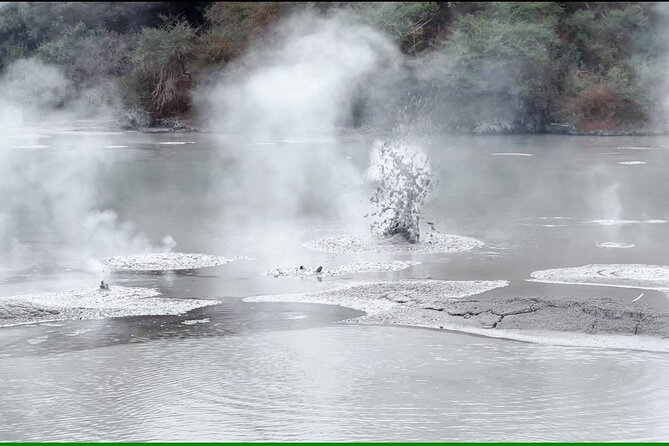 TRIPLE DEAL Wai-O-Tapu, Redwood Forest & Blue Springs Ex Auckland - Tirau’s corrugated iron dog and sheep