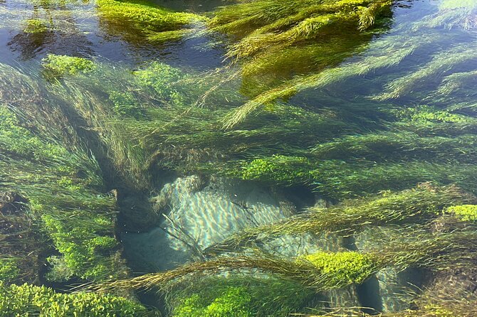 TRIPLE DEAL Wai-O-Tapu, Redwood Forest & Blue Springs Ex Auckland - Wai-O-Tapu and the strange power of geothermal New Zealand