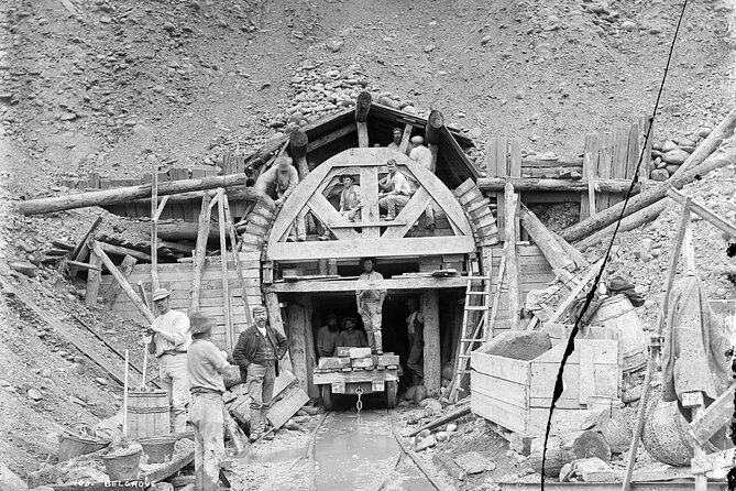 Tunnel to Town - Via Mapua - Starting in Nelson at 9:00 am