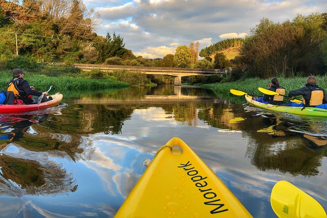 Twilight Glowworm Kayak Tour – Lake Karapiro - From Lake Karapiro to the Pokaiwhenua Stream
