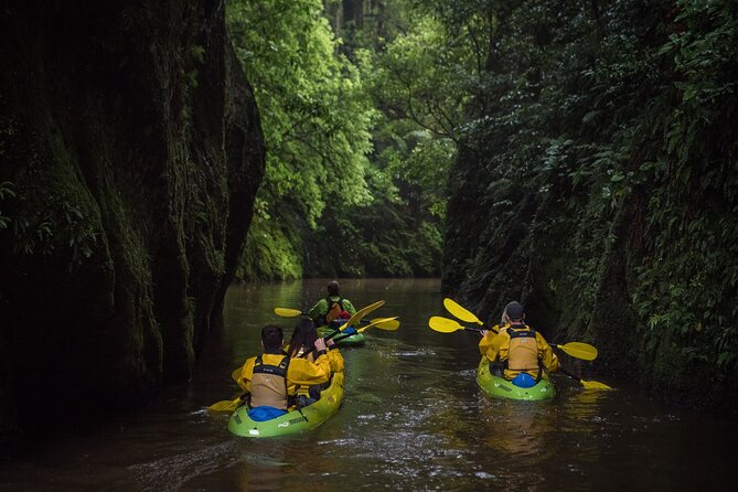 Twilight Glowworm Kayak Tour – Lake Karapiro - Floating beneath thousands of glowworms
