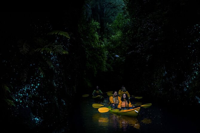 Twilight Glowworm Kayak Tour – Lake Karapiro - How the $92.47 price holds up