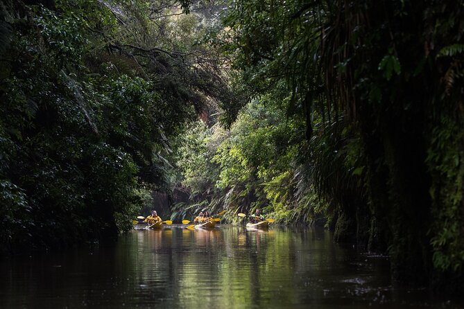 Twilight Glowworm Kayak Tour – Lake Karapiro - Who will enjoy this evening most