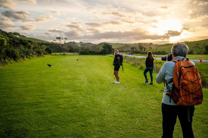 Twilight Wild Kiwi Bird Encounter Private Tour - A 5:00 pm departure that builds toward night