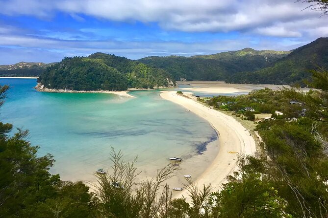 Twilight Wild Kiwi Bird Encounter Private Tour - What the guides add to the evening
