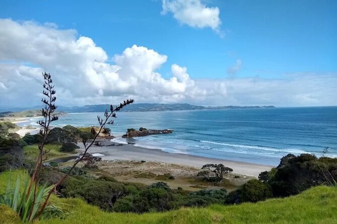 Twilight Wild Kiwi Bird Encounter Private Tour - The comfort details that make a night walk easier
