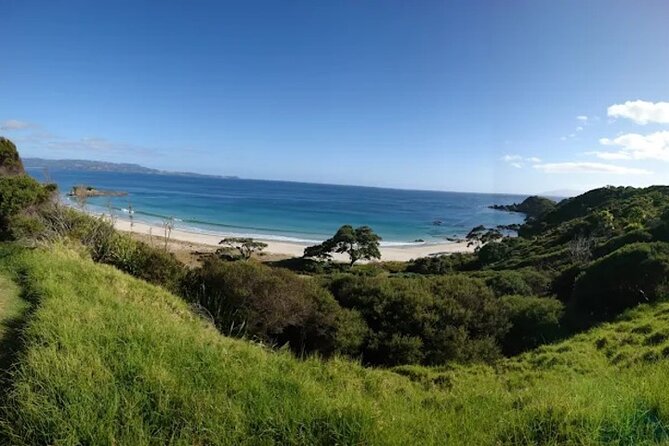 Twilight Wild Kiwi Bird Encounter Private Tour - Is $589.54 per person fair?