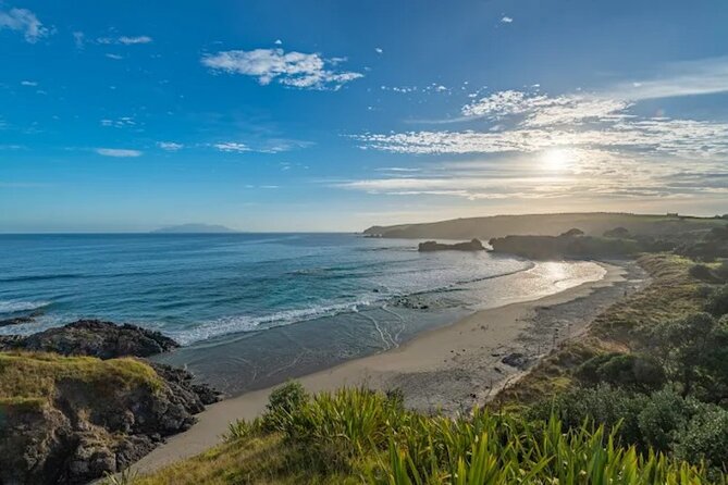 Twilight Wild Kiwi Bird Encounter Private Tour - Who should book this private outing?