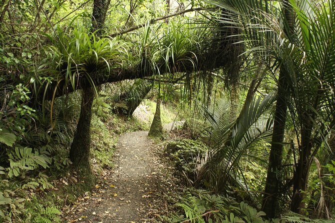 Ultimate Auckland Experience Full Day Tour with Brewery Lunch - Tamaki Drive, Savage Memorial, and Achilles Point