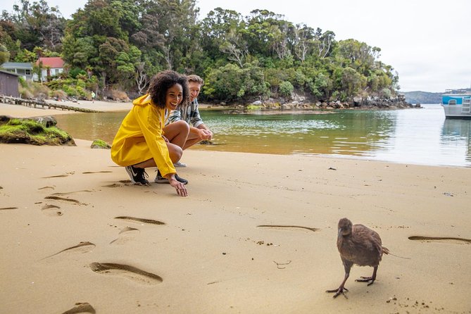 Ulva Island Explorer from Stewart Island - Why Ulva Island makes this short tour special