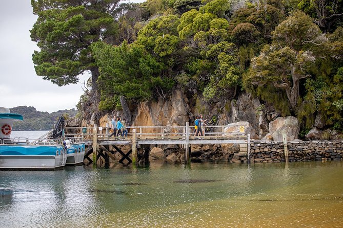 Ulva Island Explorer from Stewart Island - The catamaran ride through Paterson Inlet