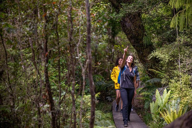 Ulva Island Explorer from Stewart Island - The wildlife you might see