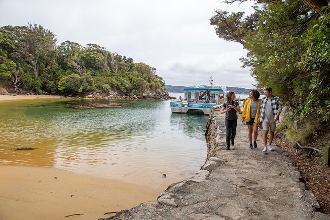 Ulva Island Explorer from Stewart Island - Two and a half hours: enough time or too short?