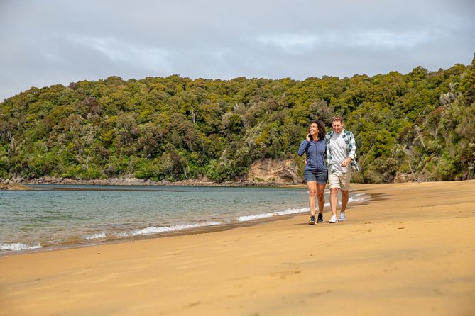 Ulva Island Explorer from Stewart Island - Is the optional boxed lunch worth adding?