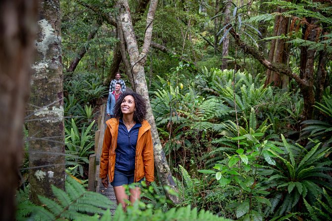 Ulva Island Explorer from Stewart Island - Price, group size, and practical value