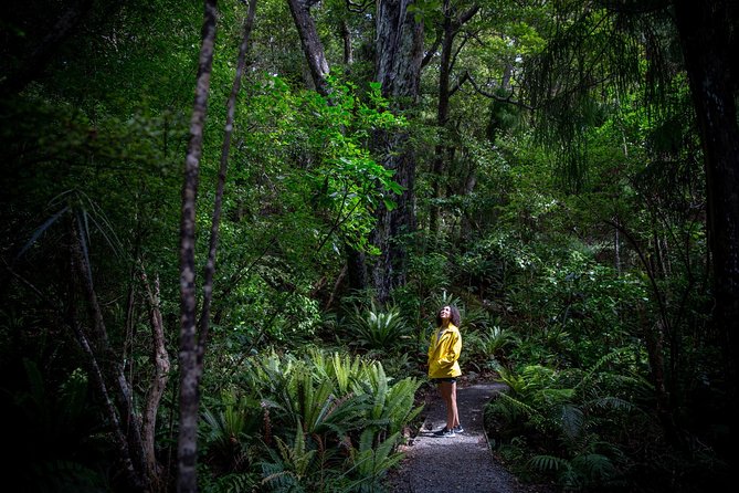 Ulva Island Explorer from Stewart Island - Who will enjoy this experience most?
