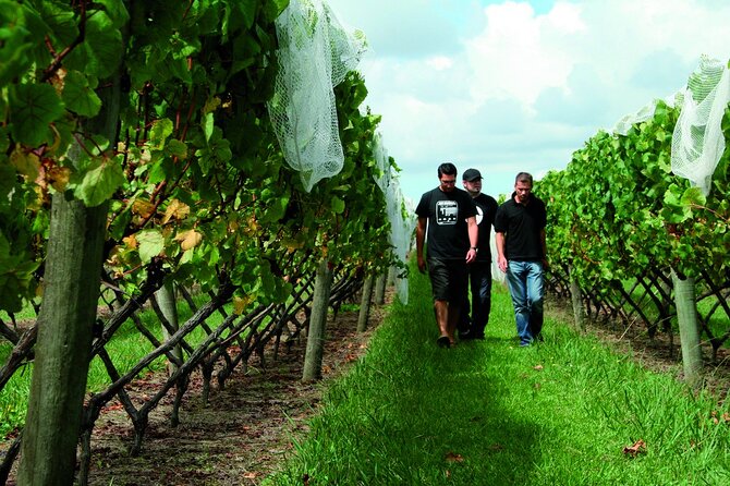 Vineyards Honey and Black Sand Beaches from Auckland - The value of $183.07
