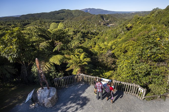 Volcanic Valley Self Guided Walking and Hiking at Waimangu - Frying Pan Lake and the valley’s volcanic story