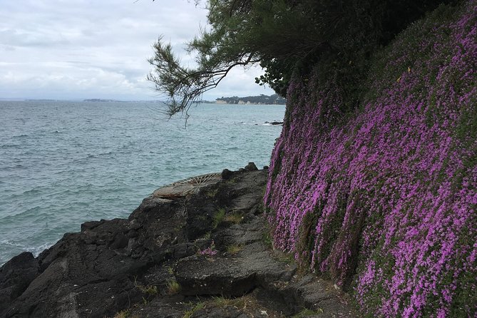 Volcanoes, Coasts, and Secret Spots Afternoon Tour in Auckland - North Head, where a volcano became a fortress