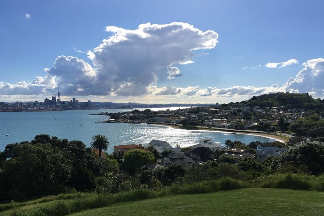 Volcanoes, Coasts, and Secret Spots Afternoon Tour in Auckland - What the $99.29 price gets you