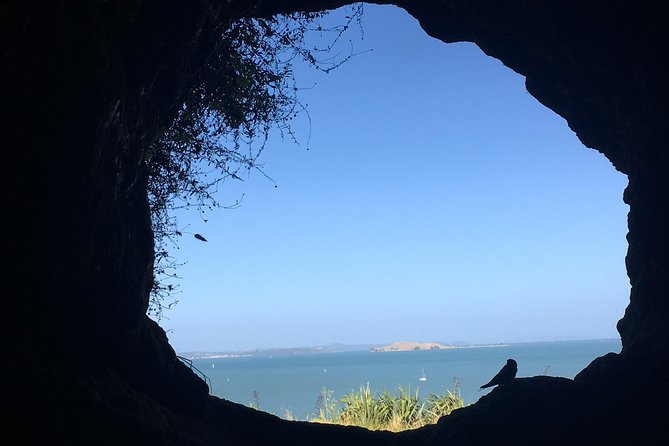 Volcanoes, Coasts, and Secret Spots Afternoon Tour in Auckland - Takapuna’s lava coast and the walk toward Milford