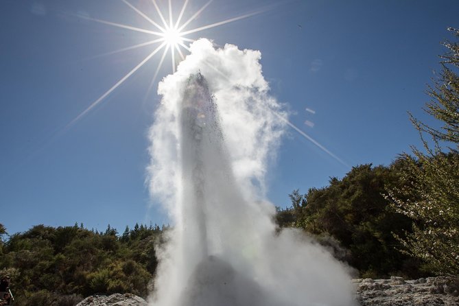 Wai-O-Tapu Thermal Wonderland, Rotorua, New Zealand - Is $29.17 good value?