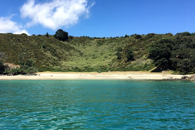 Waiheke Island Bush & Beach Walk - Key things to know before you book