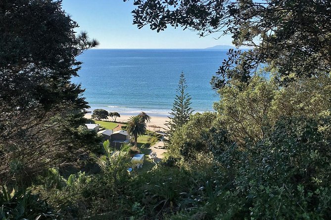 Waiheke Island Bush & Beach Walk - Lunch gives the five-hour outing a better rhythm
