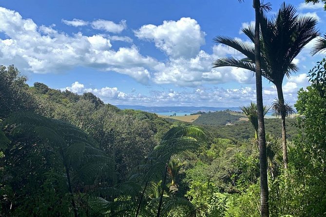 Waiheke Island Bush & Beach Walk - Who will enjoy this Waiheke walk most?