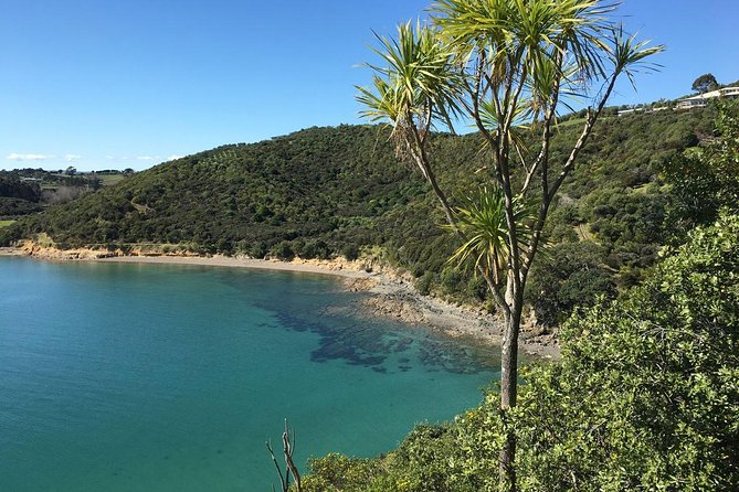 Waiheke Island Double Headland Coastal Walk - Who will enjoy this walk most
