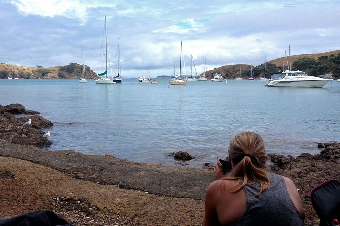 Waiheke Island Double Headland Coastal Walk - What to bring and how to prepare
