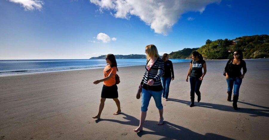 Waiheke Island: Ferry & Hop-On Hop-Off Explorer Bus Tickets - What the $59 price really gets you