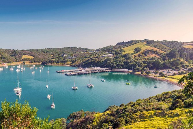 Waiheke Island - Fly and Dine (from North Shore Airport) - Three courses and a glass of local wine