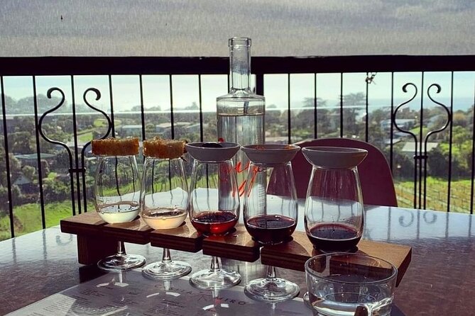 Waiheke Island Gourmet Food and Wine Tour - Allpress Olive Groves adds a savory change