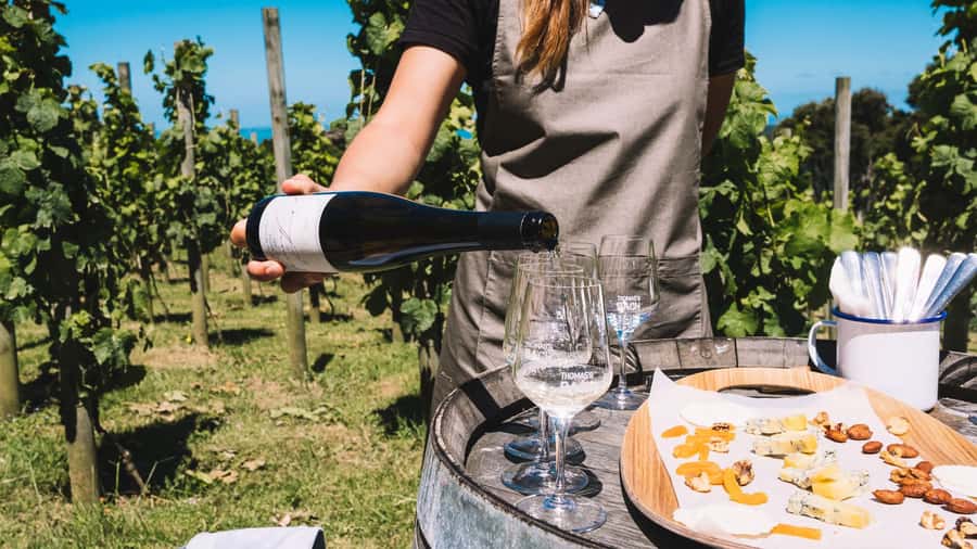Waiheke Island Gourmet Food and Wine Tour with Platter Lunch - Is $185 good value?