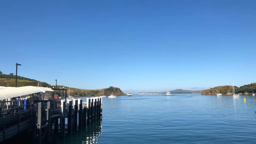 Waiheke Island Gourmet Food and Wine Tour with Platter Lunch - Meeting your guide at Matiatia Wharf