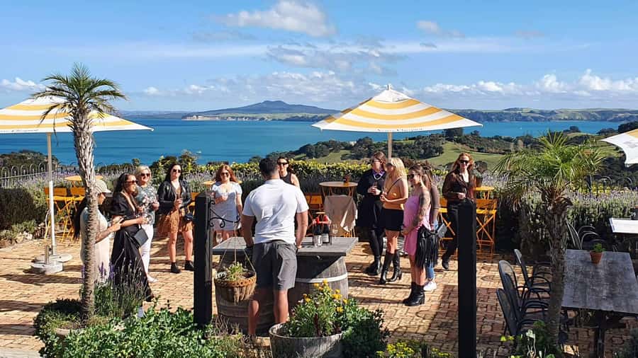 Waiheke Island: Scenic Island Wine Tour & Local Wine Tasting - Why this Waiheke tour works so well