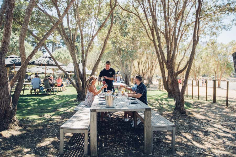 Waiheke Island: Scenic Island Wine Tour & Local Wine Tasting - What the double-decker route adds