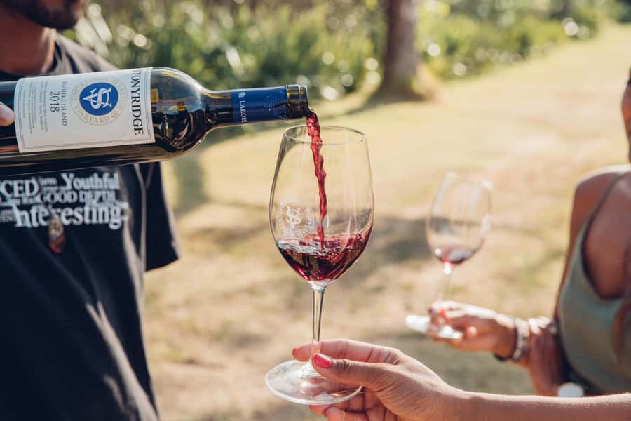 Waiheke Island: Scenic Island Wine Tour & Local Wine Tasting - Guides, timing, and the feel of the group