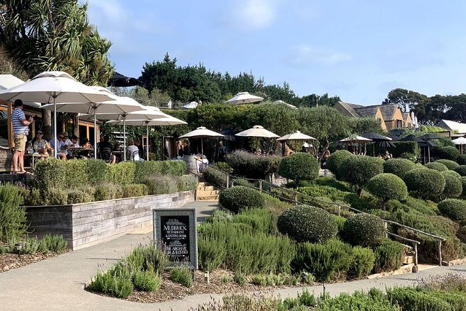 Waiheke Island Vineyards and Bush Walk - A walking tour instead of a winery shuttle