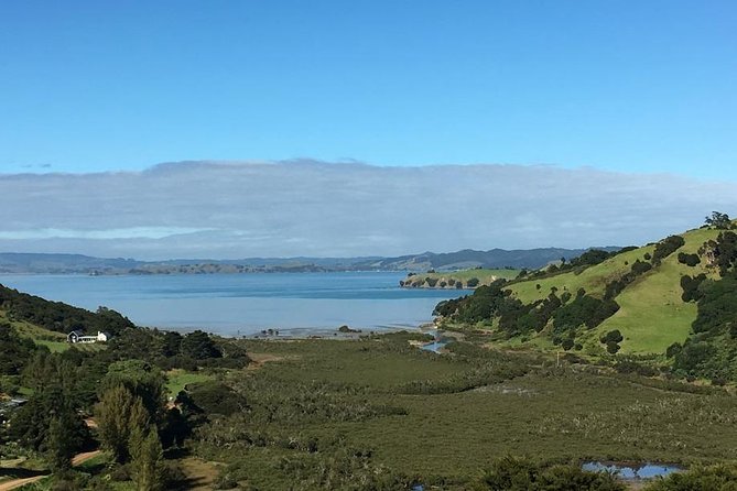 Waiheke Island Vineyards and Bush Walk - The vineyard stop: Mudbrick or Cable Bay