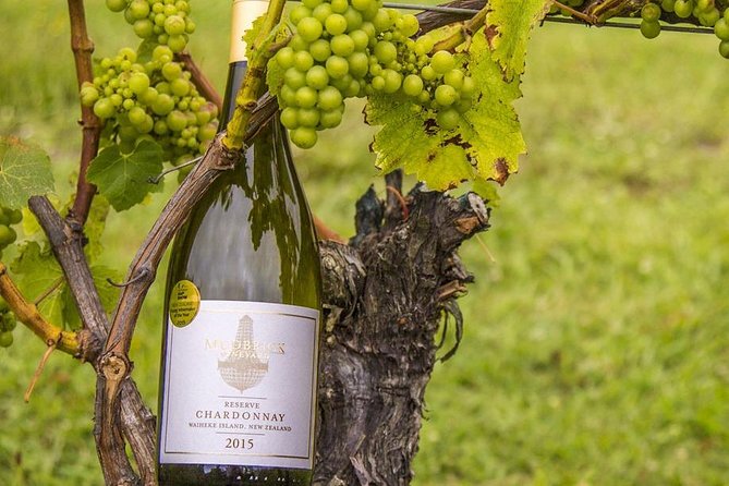 Waiheke Island Vineyards and Bush Walk - What the guides add to the day